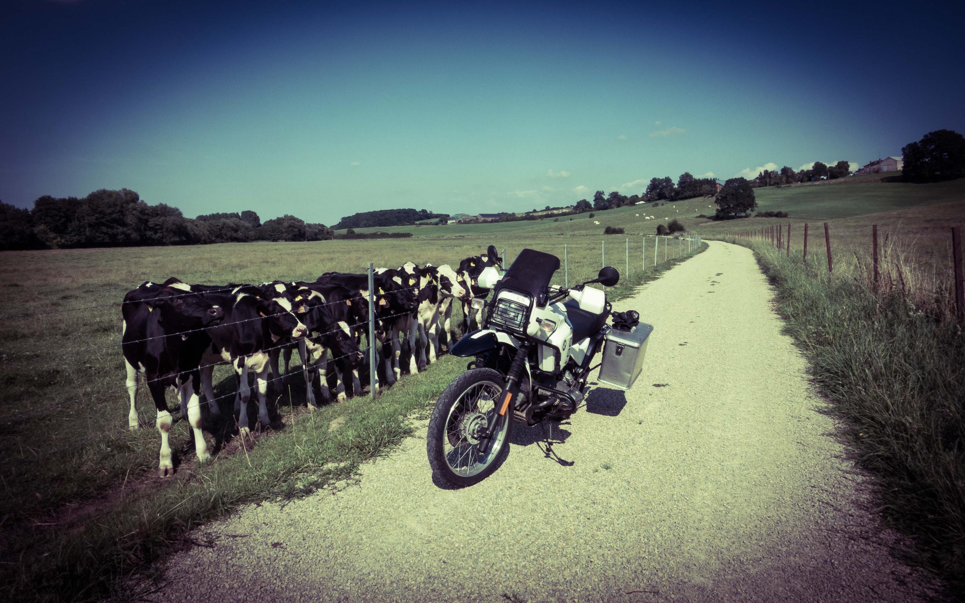 20140801_bmw_r100gs_48146-2.jpg