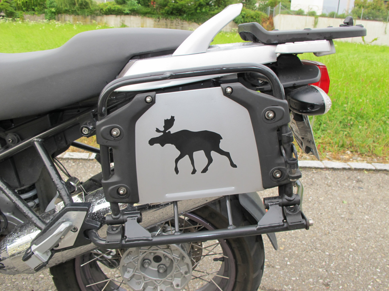 2002 Bmw r1150gs bumblebee #5