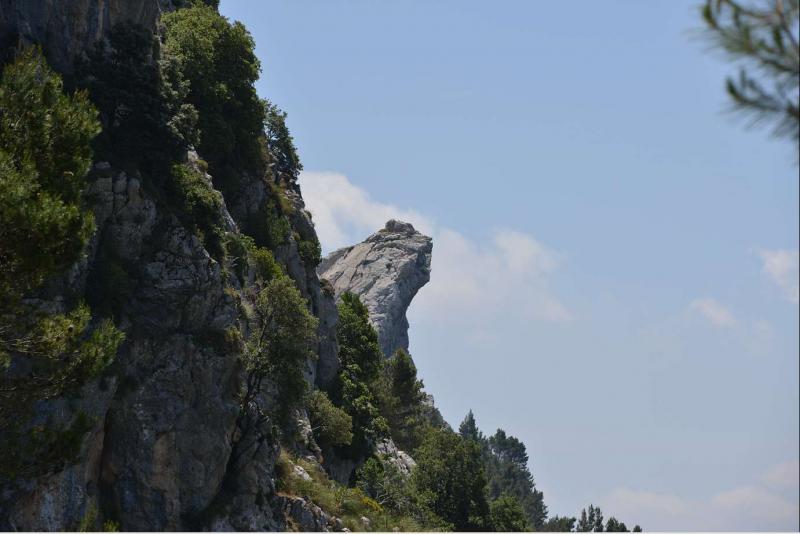 neu-2.jpg