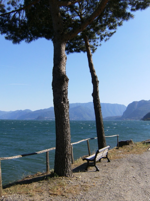 wasser.jpg