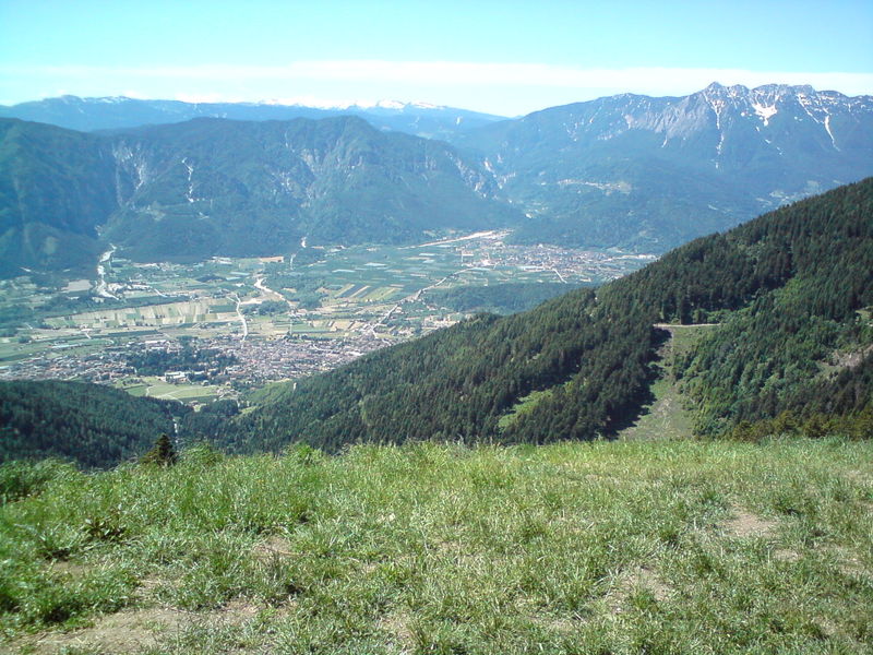 dsc00059.jpg