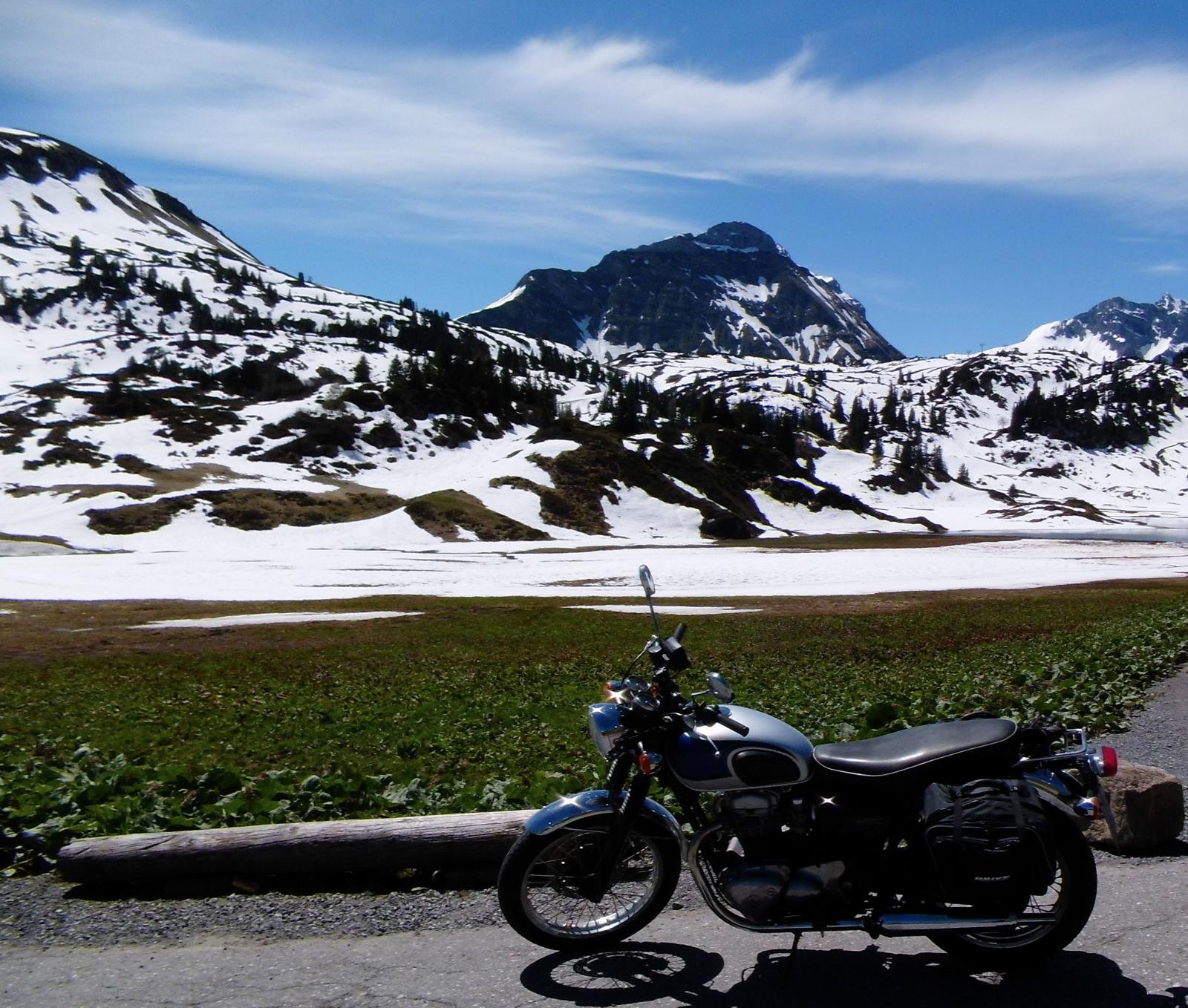 w650.jpg