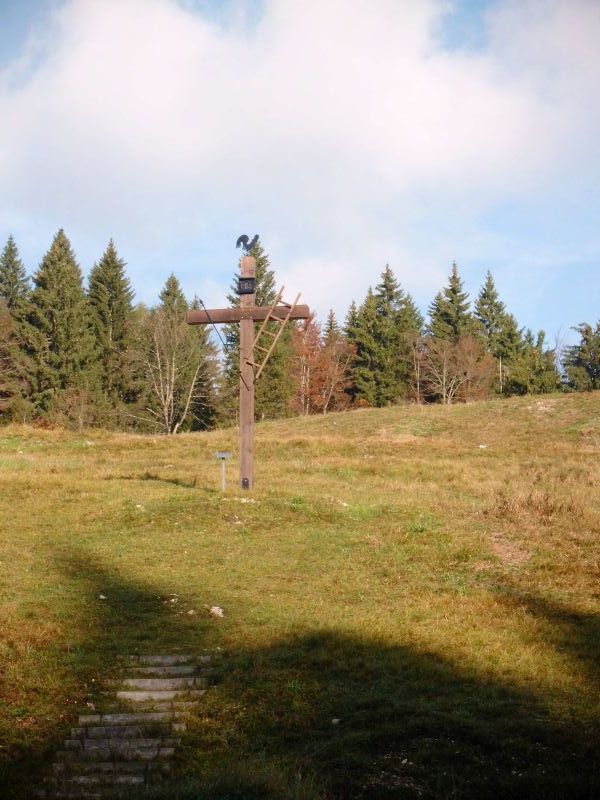 dsci0237.jpg