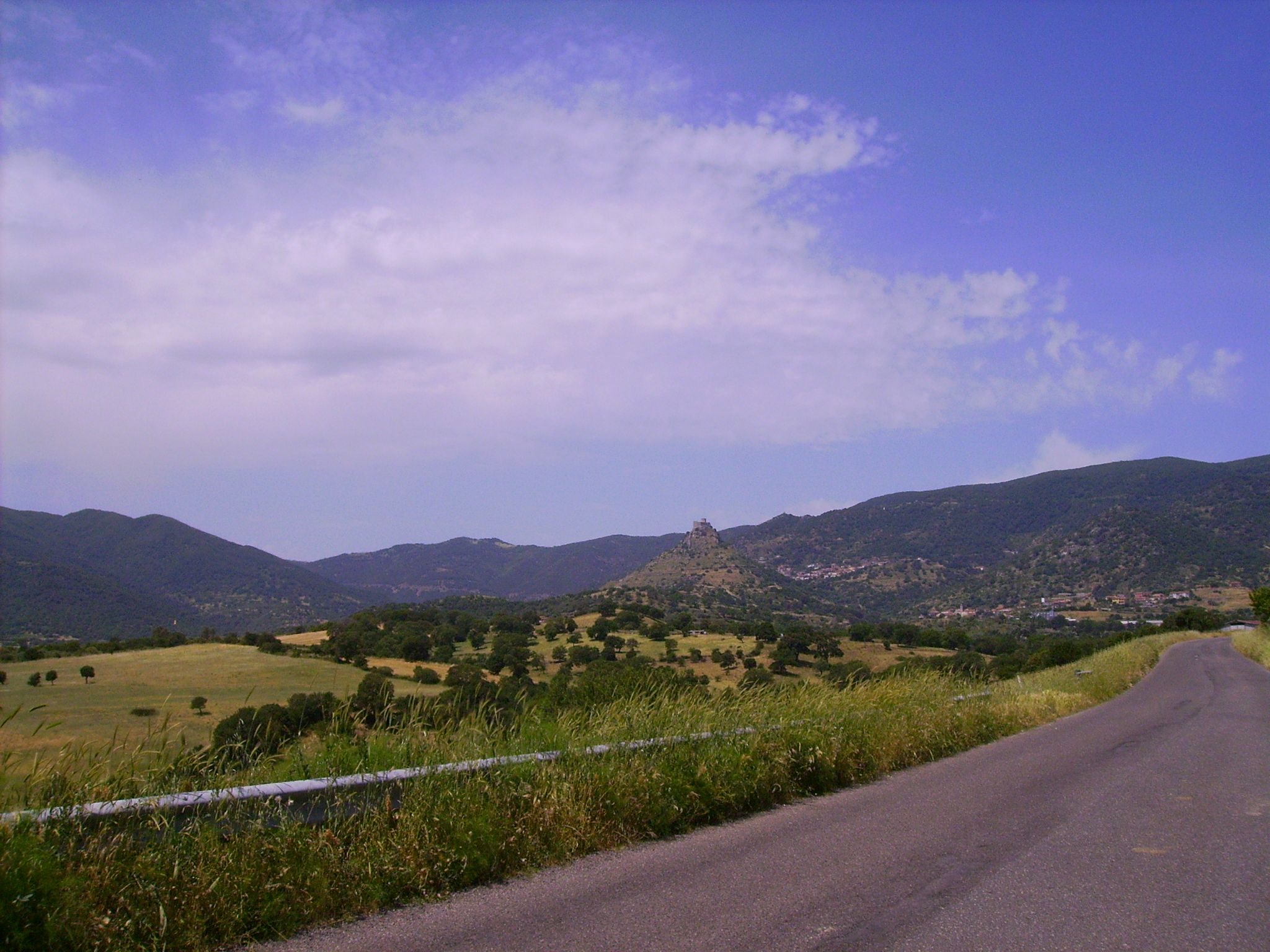 img_0857.jpg