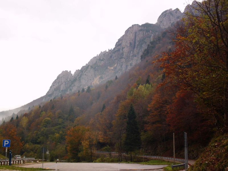dsci0095.jpg