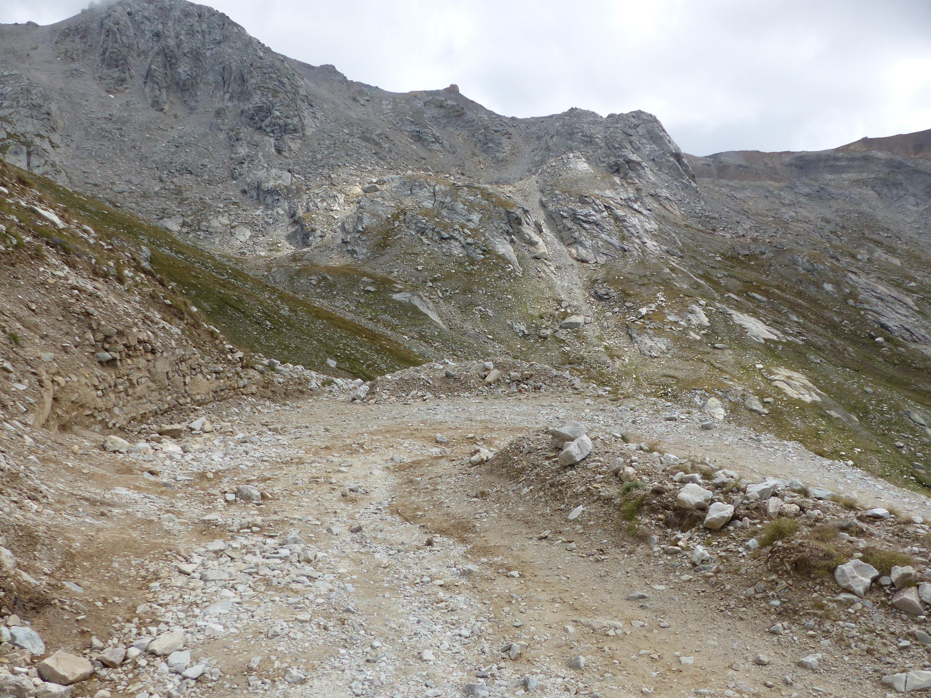 p1040731.jpg