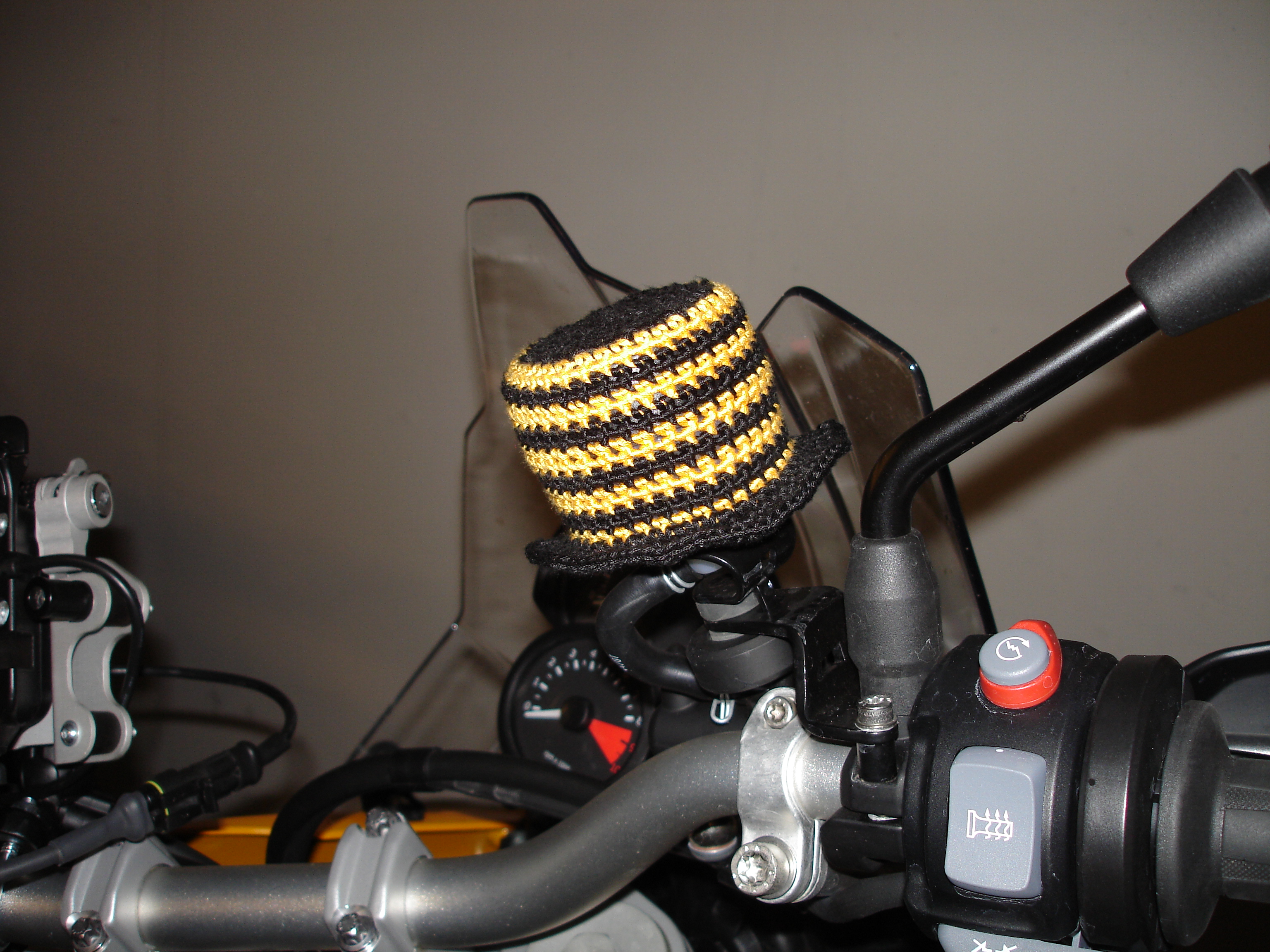 dsc08952.jpg