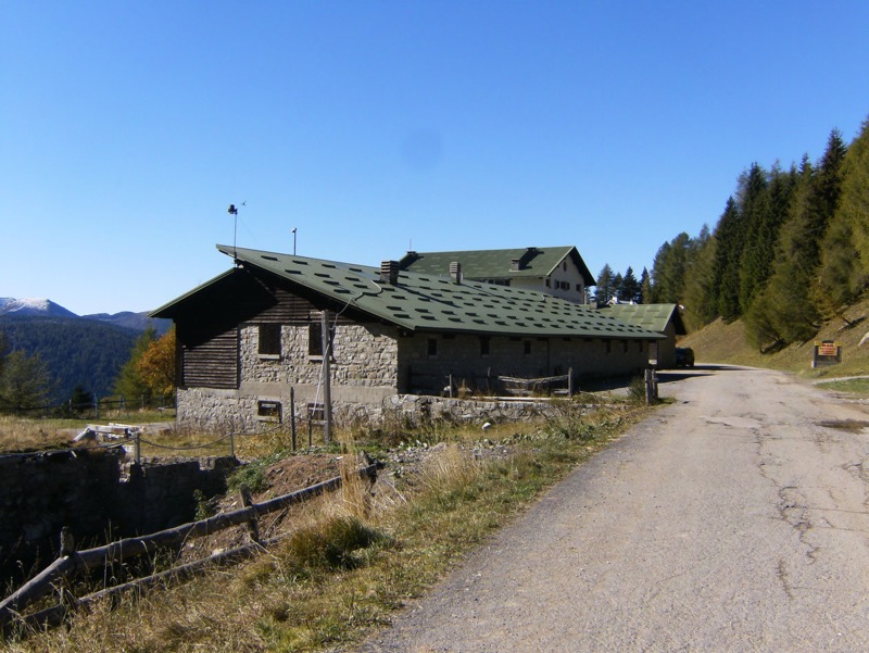zaun-1.jpg