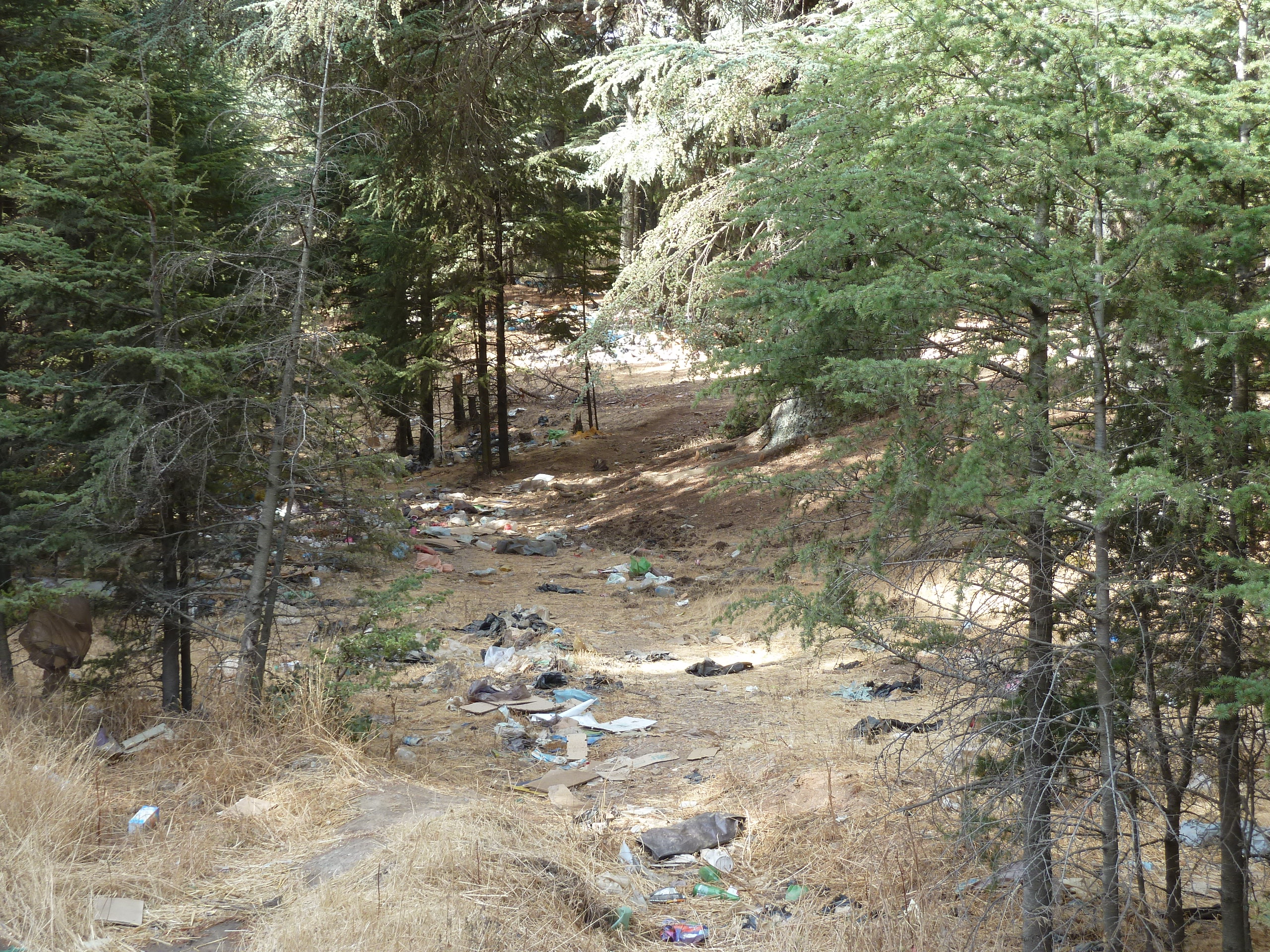 p1080290.jpg