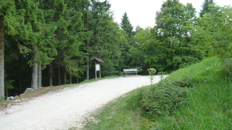 a5.jpg