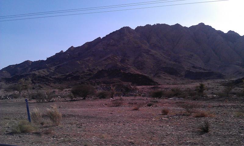 imag0238.jpg