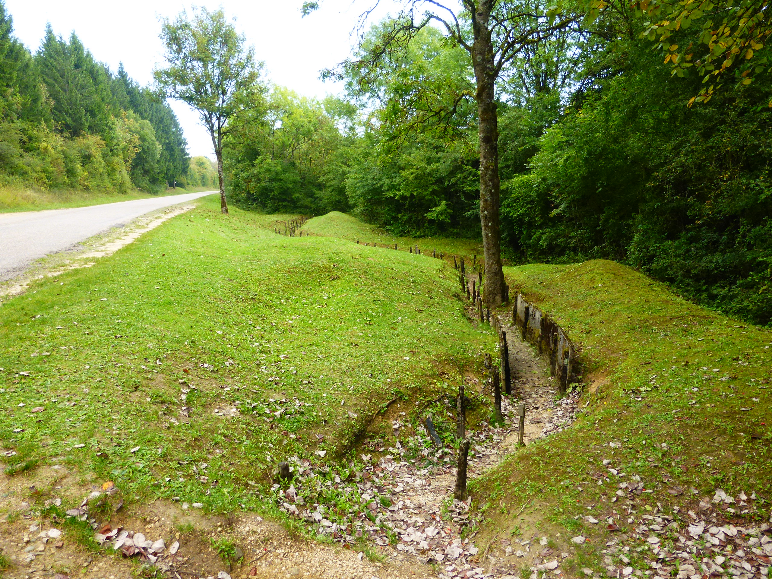 p1100281.jpg
