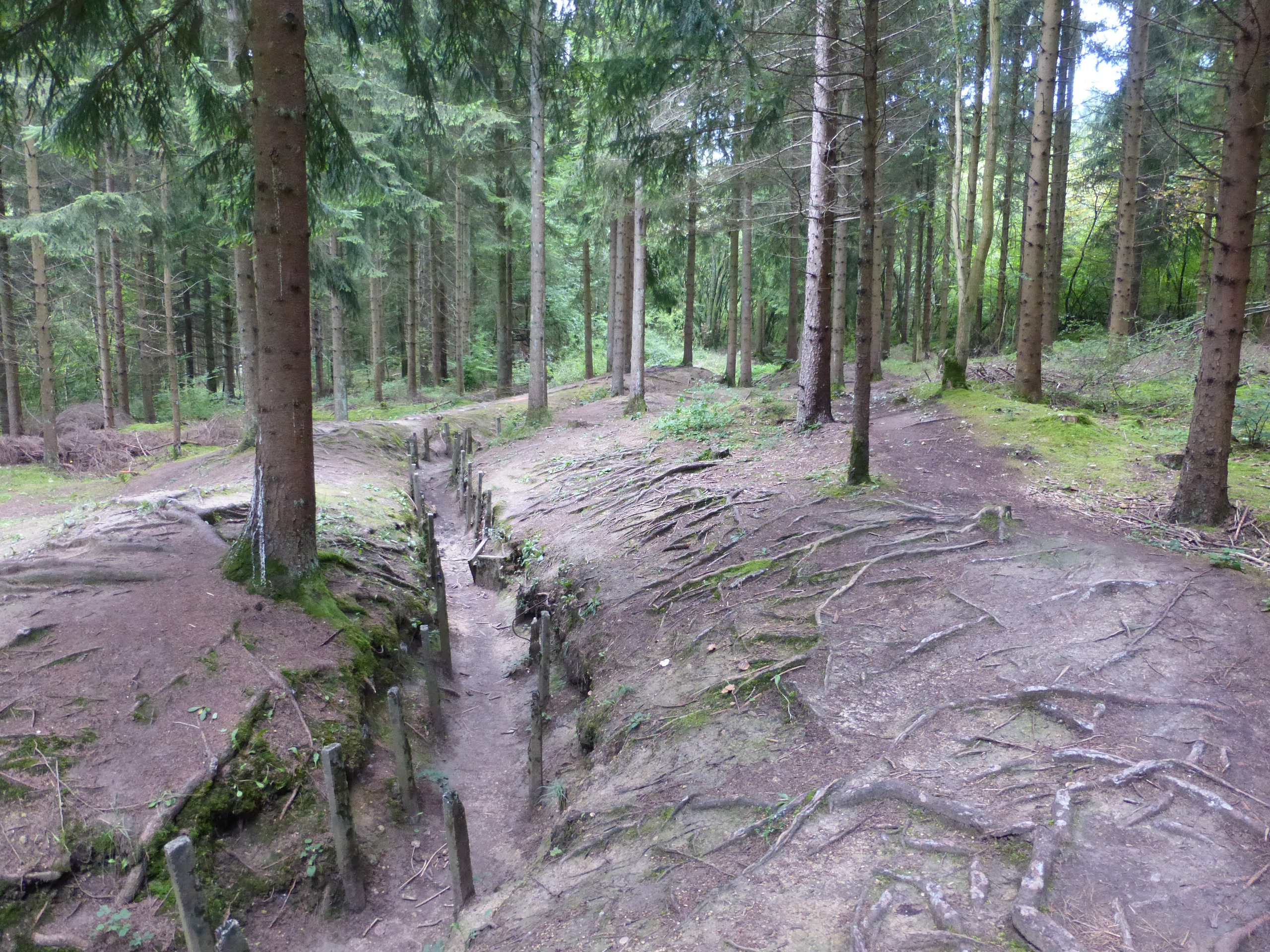 p1100284.jpg