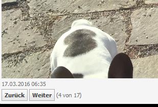 wuff.jpg
