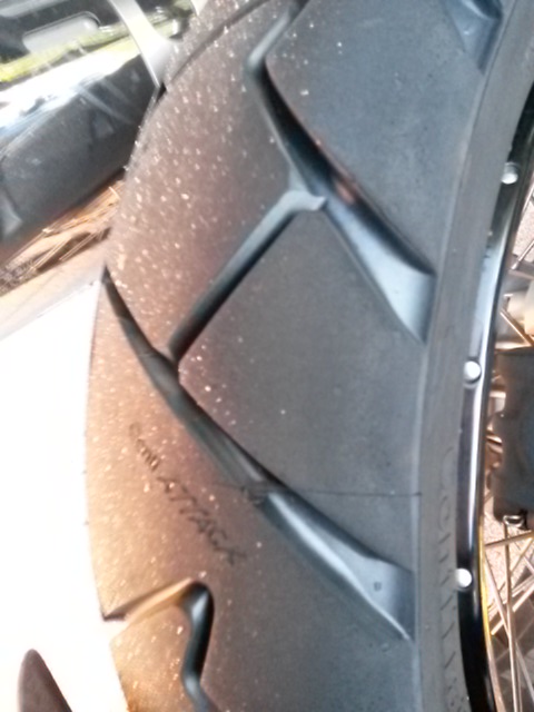20130907_064734.jpg