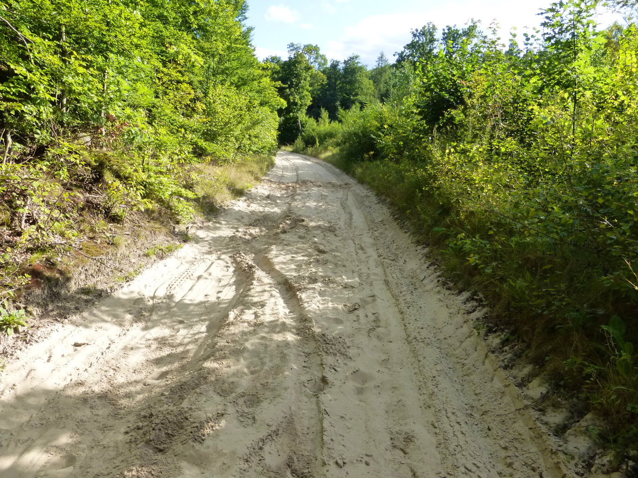 p1000433.jpg