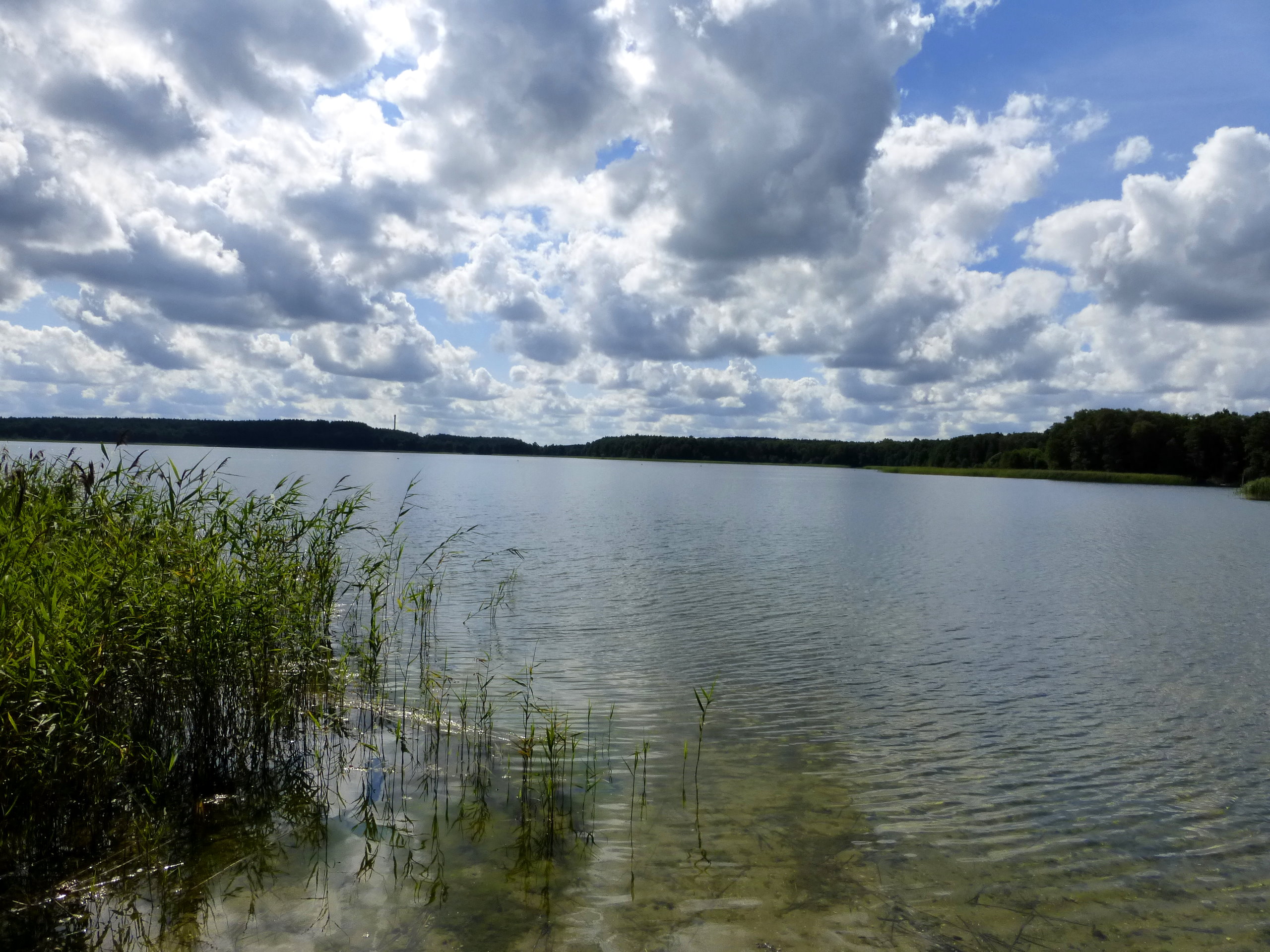 p1000144.jpg