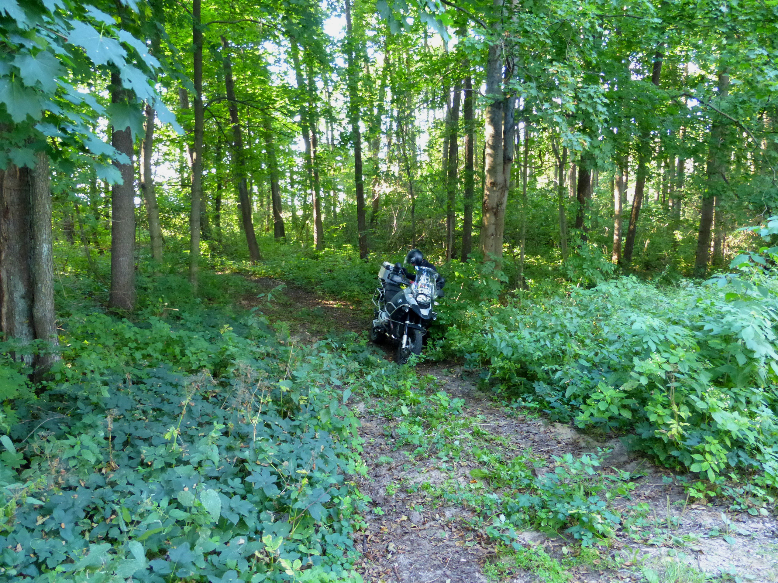 p1000631.jpg