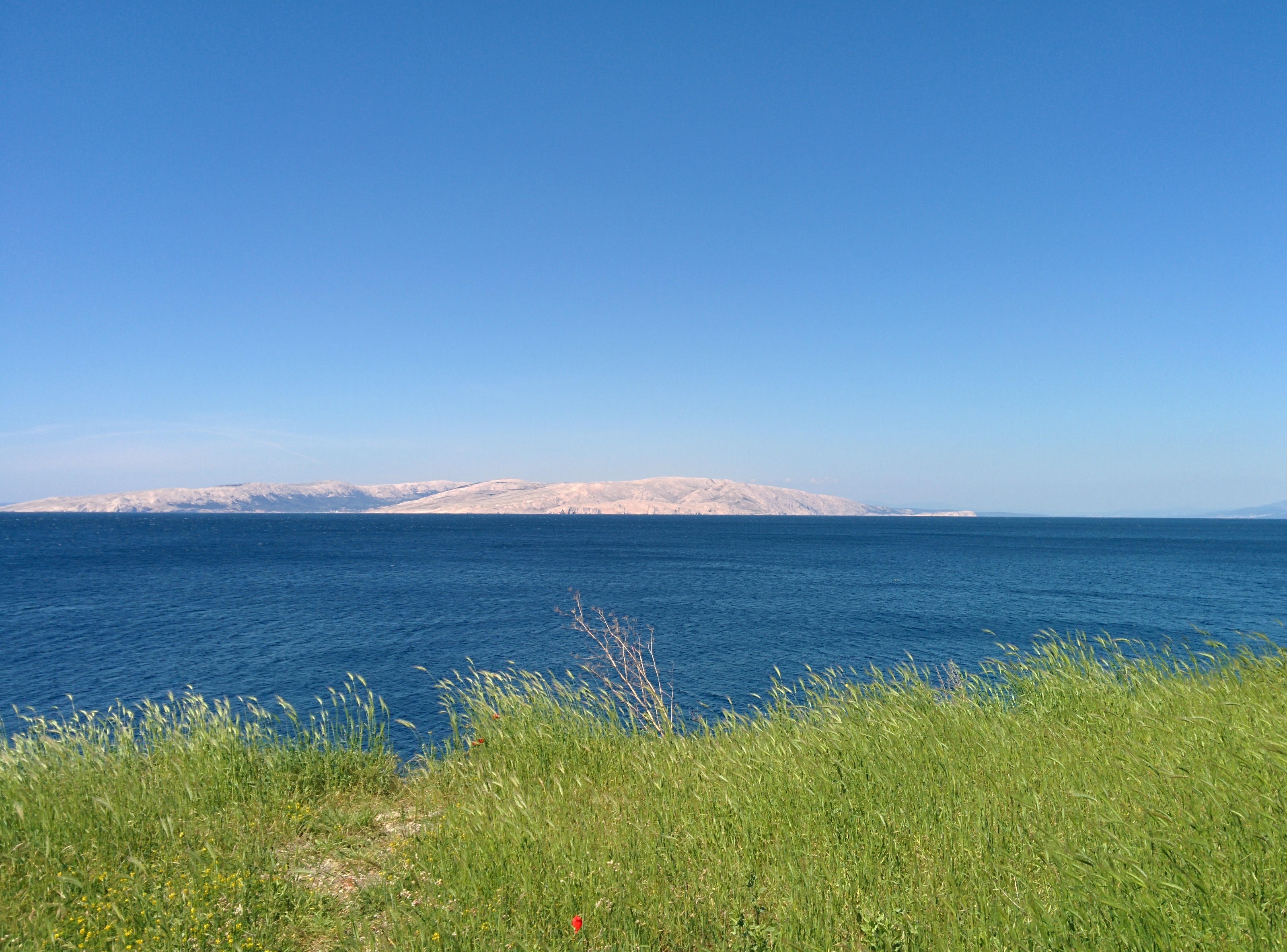img_20140505_120227.jpg
