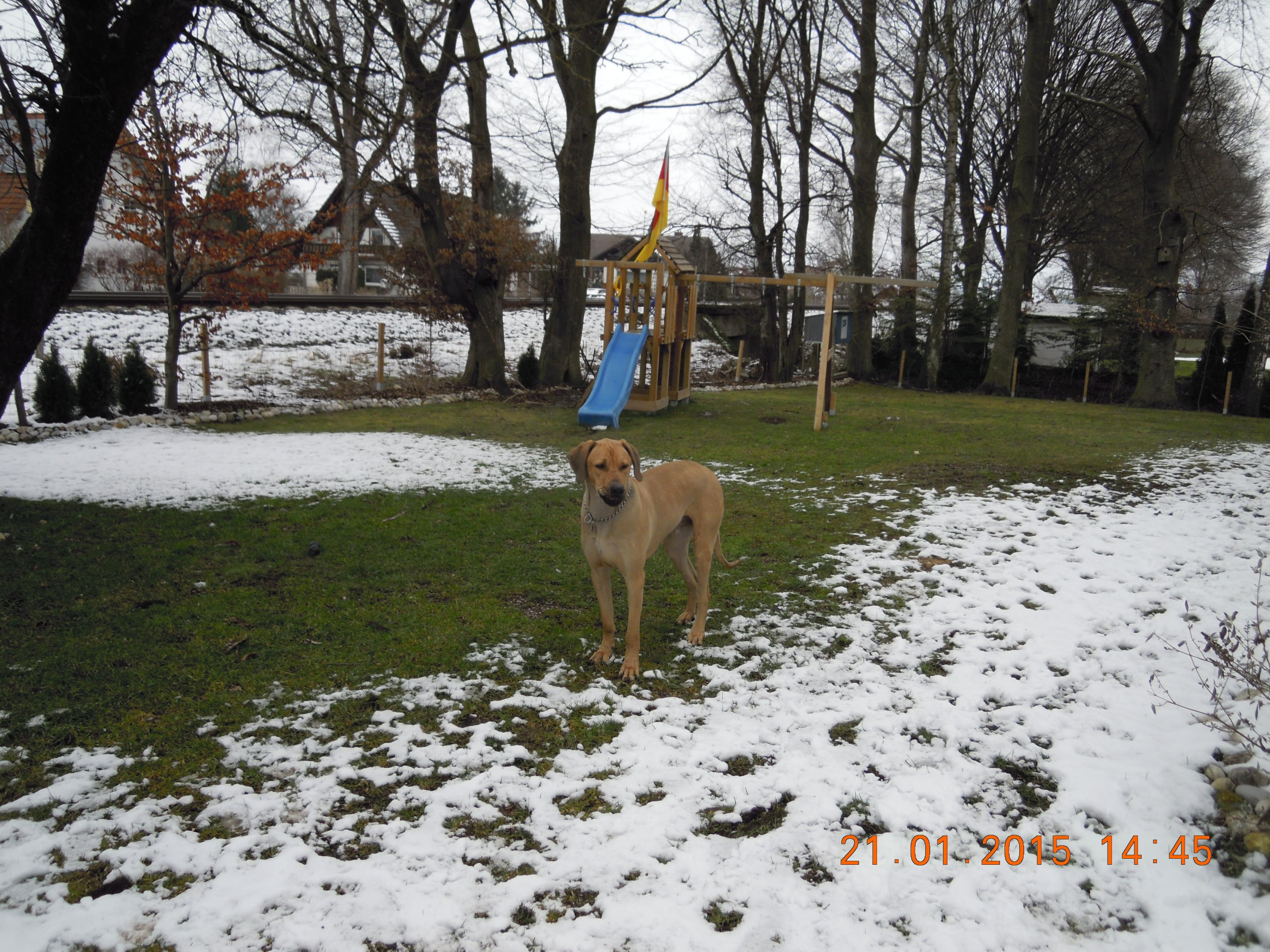 dscn1634.jpg
