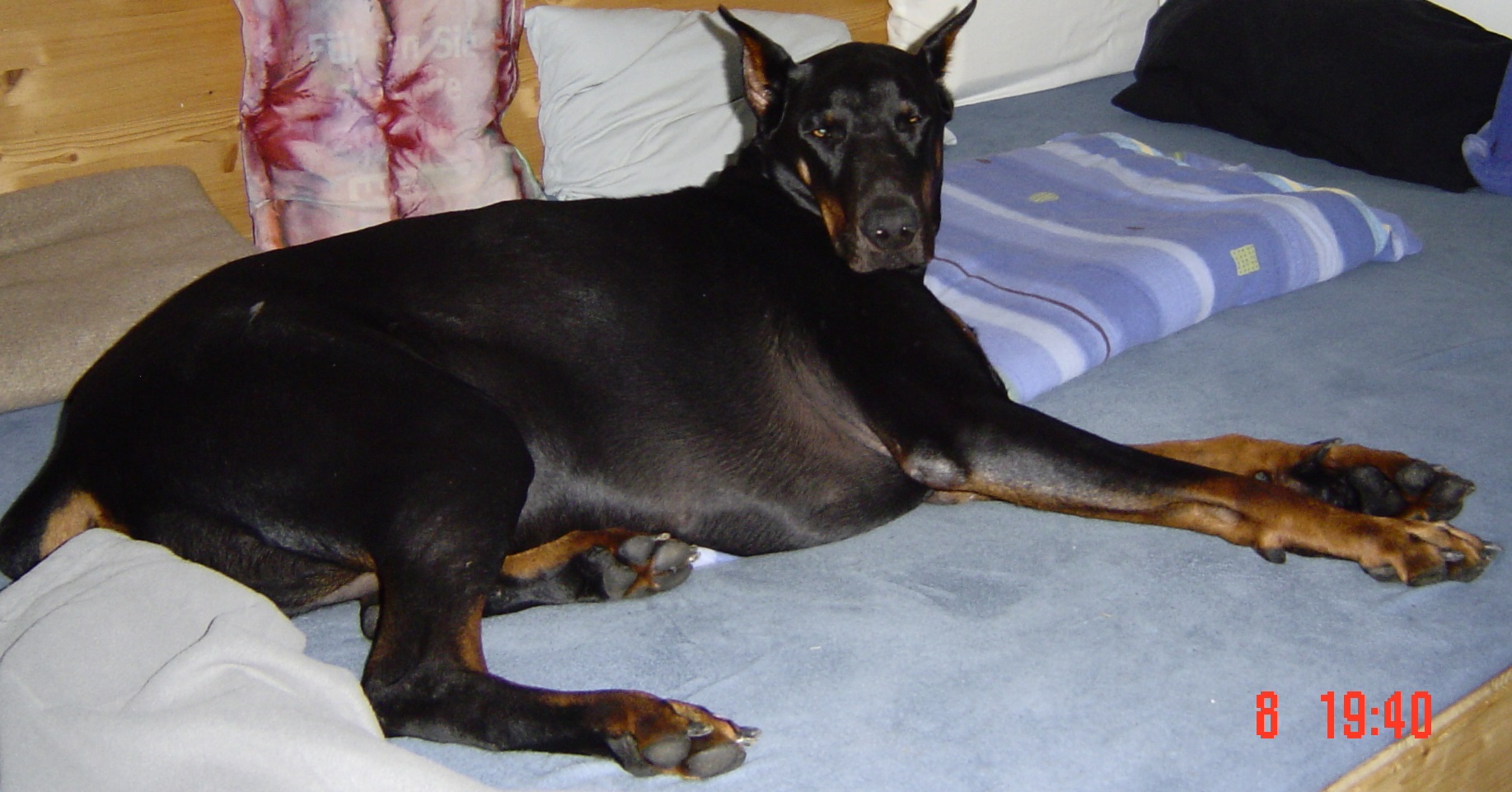 bild-002a.jpg