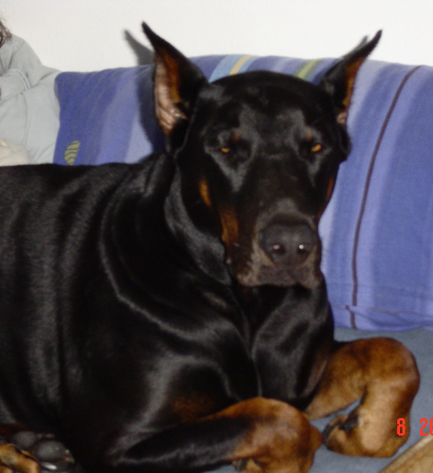 bild-008a.jpg