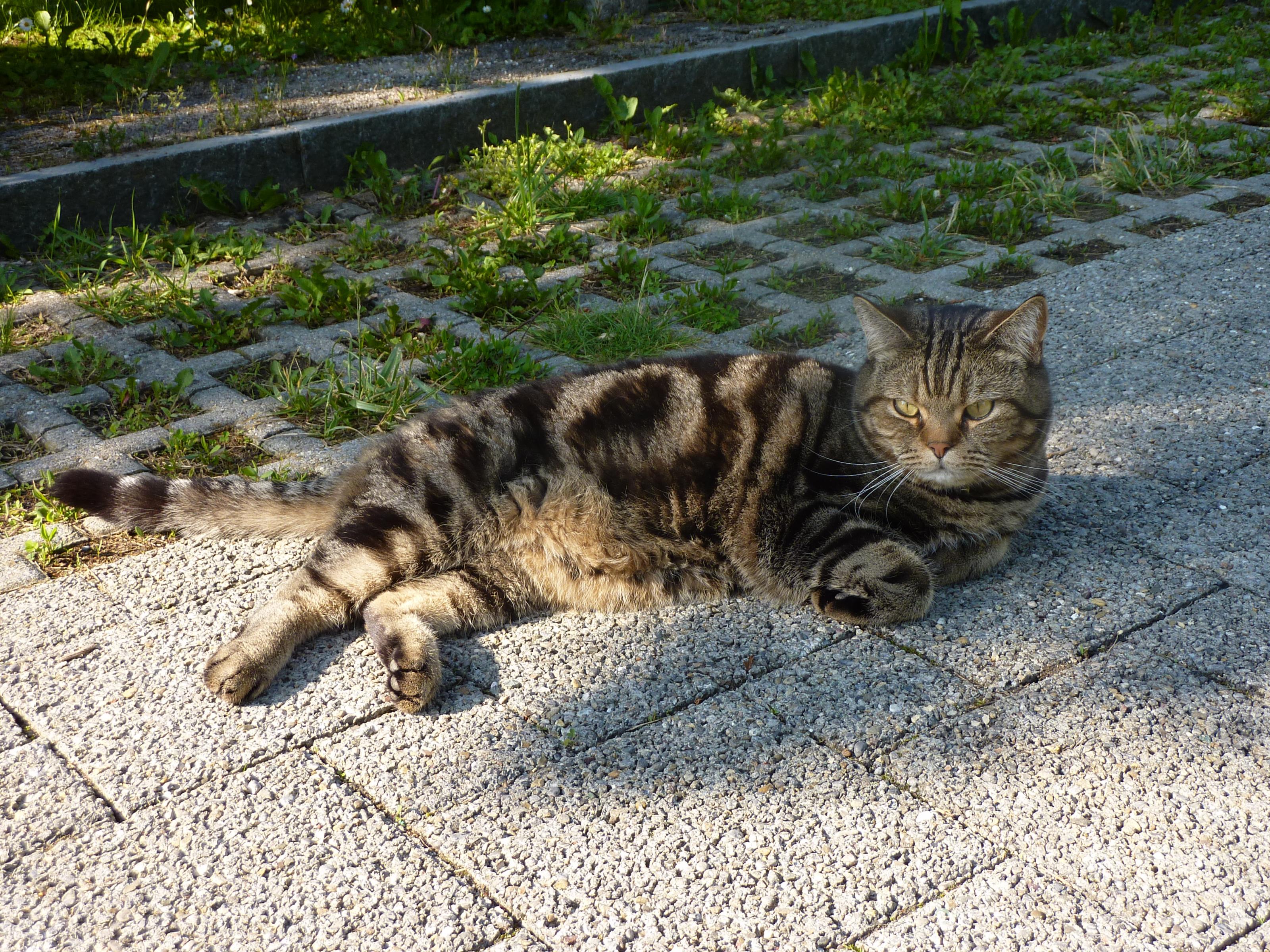 p1000223.jpg