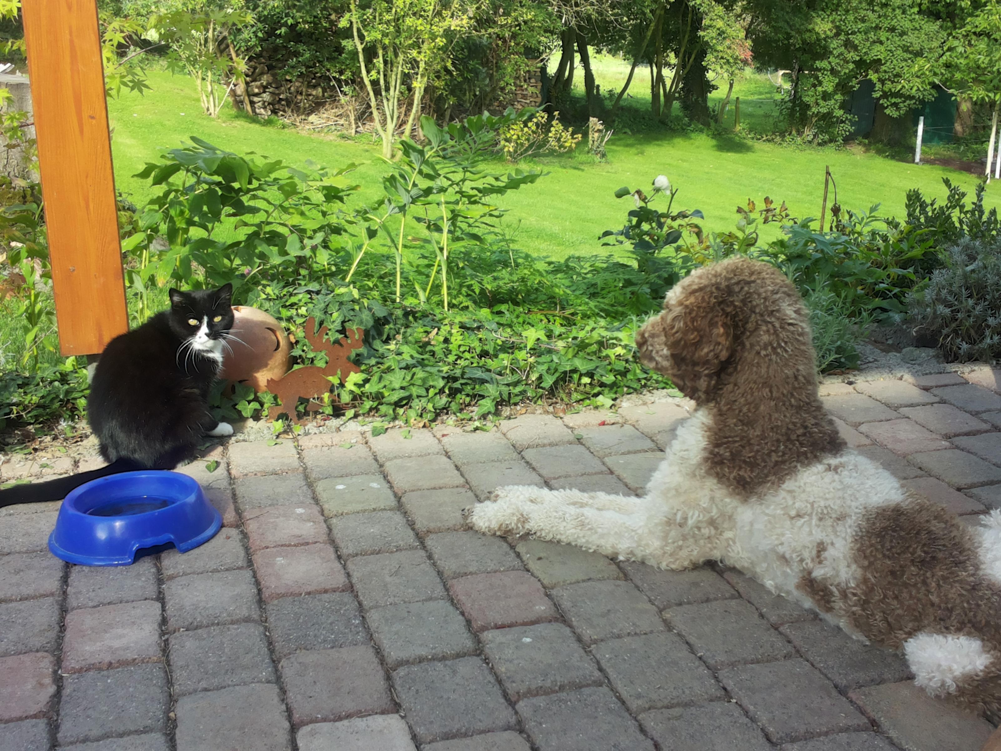 20150922_155553.jpg