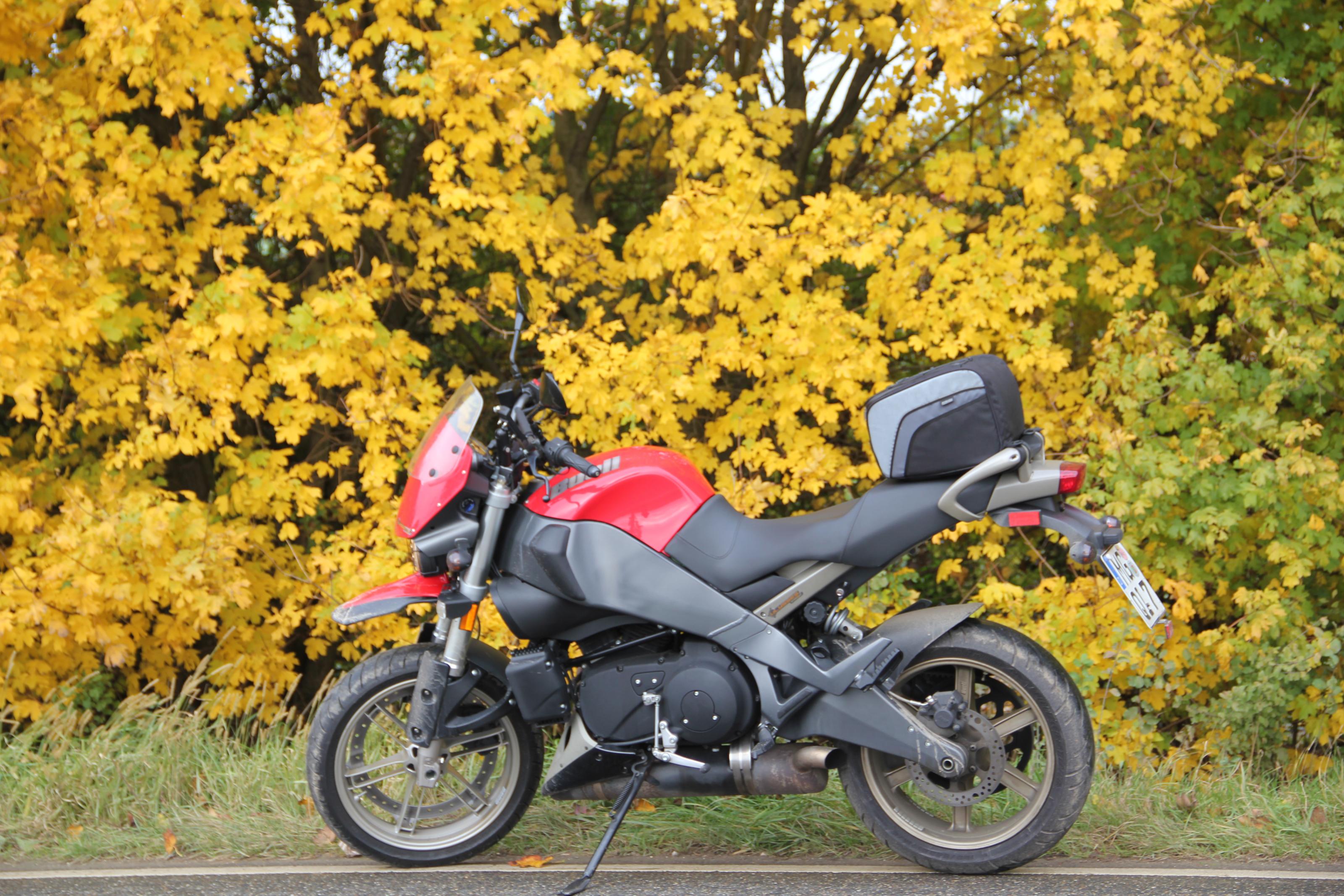 15-10-22_1029_buell.jpg