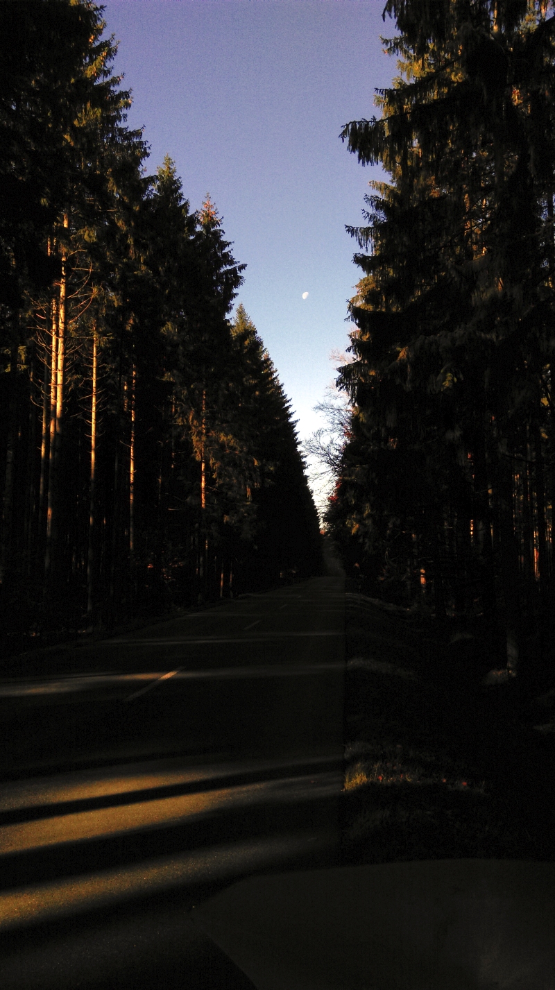 imag0336.jpg
