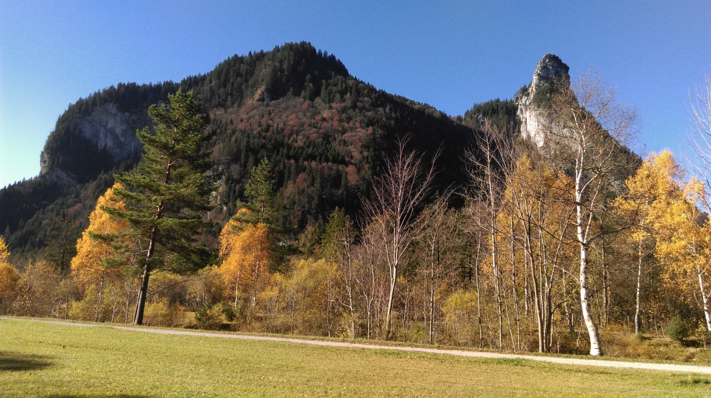 imag0339.jpg