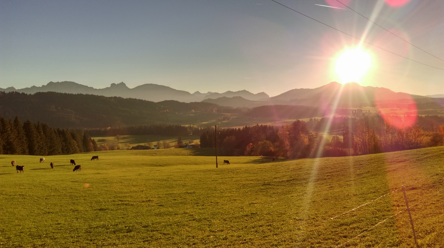 imag0343.jpg