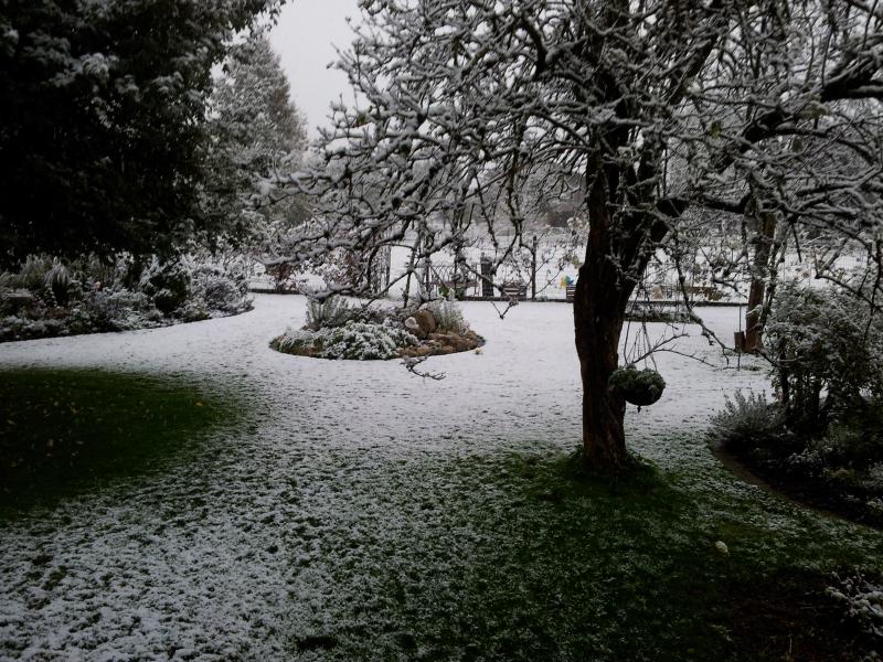 20121027_173719-1-.jpg