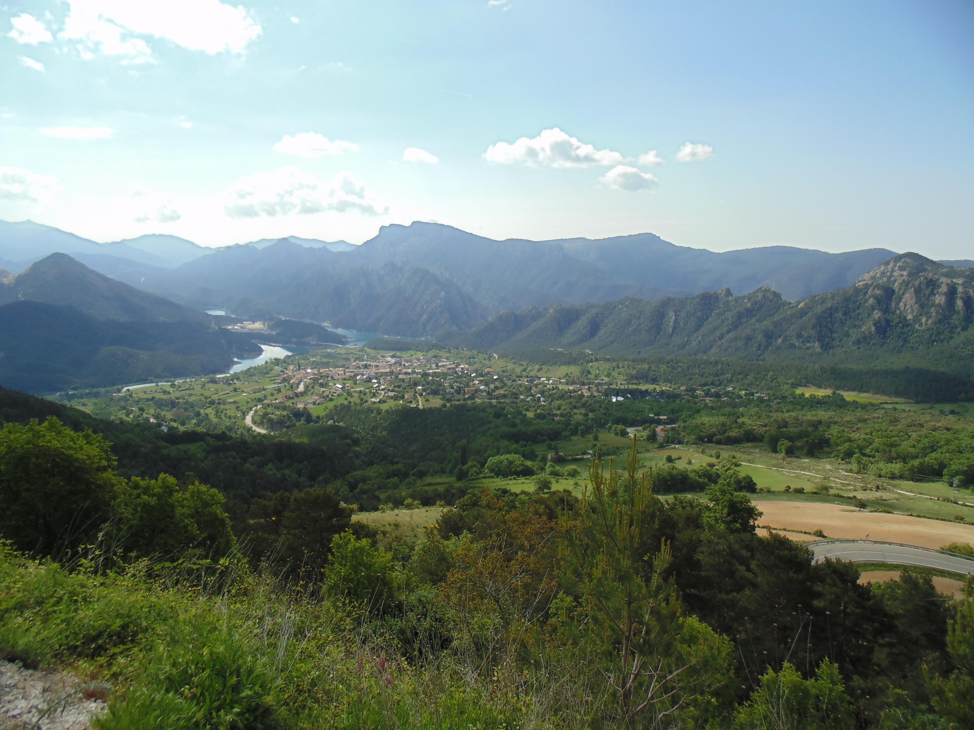 dsc00422.jpg