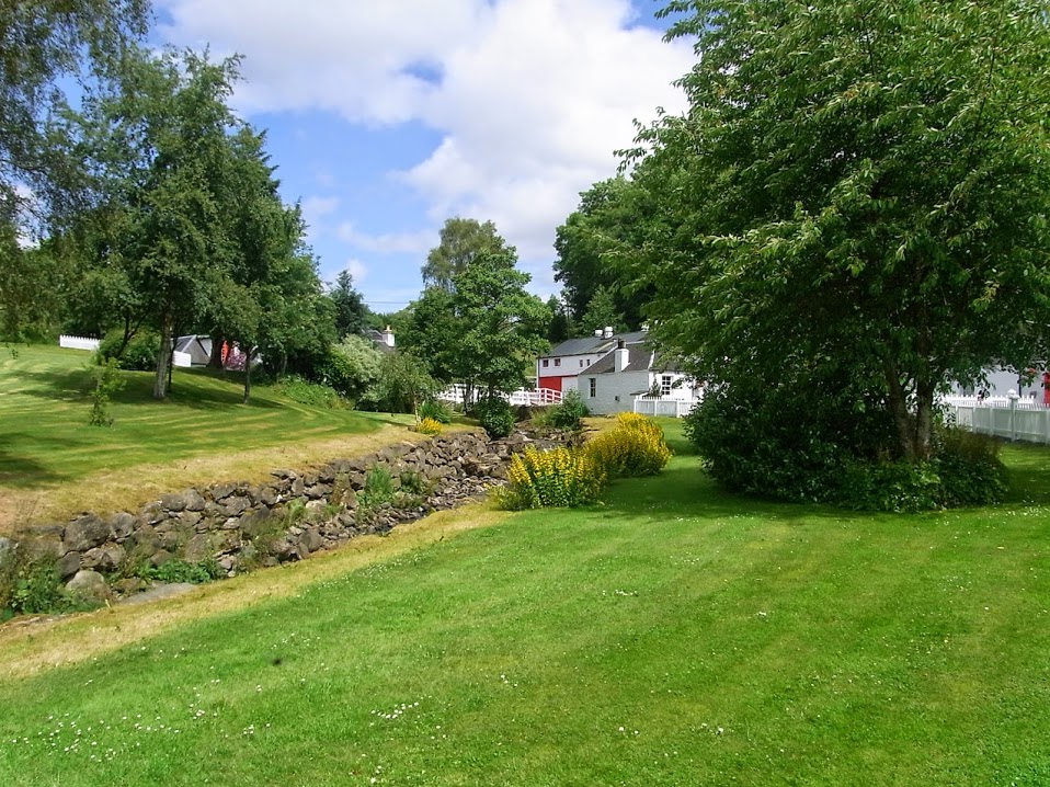 rimg0127.jpg