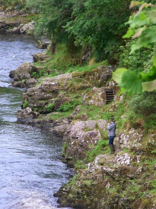rimg0148.jpg