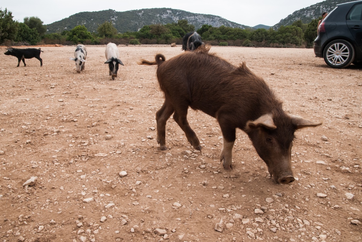 dsc_9090_bearbeitet_skaliert.jpg