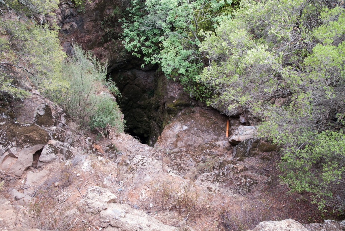 dsc_9100_bearbeitet_skaliert.jpg