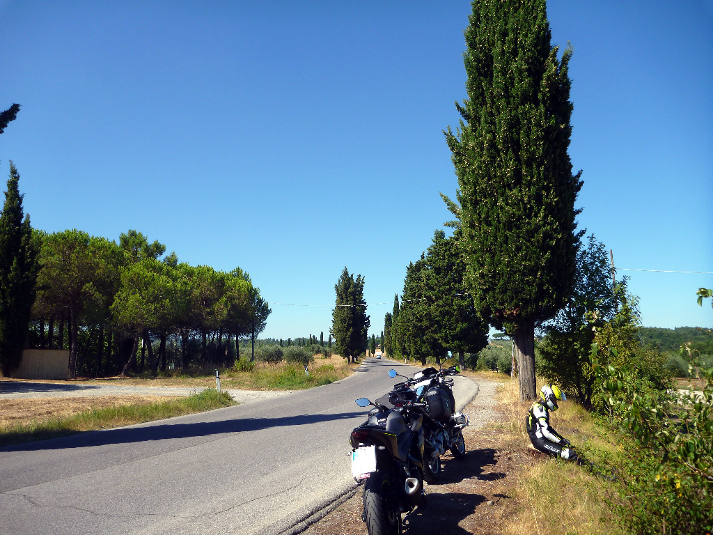 p1050186_bearbeitet-1.jpg