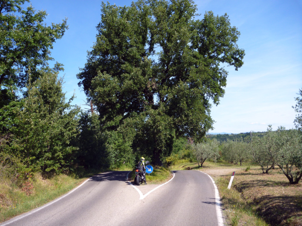 p1050307_bearbeitet-1.jpg