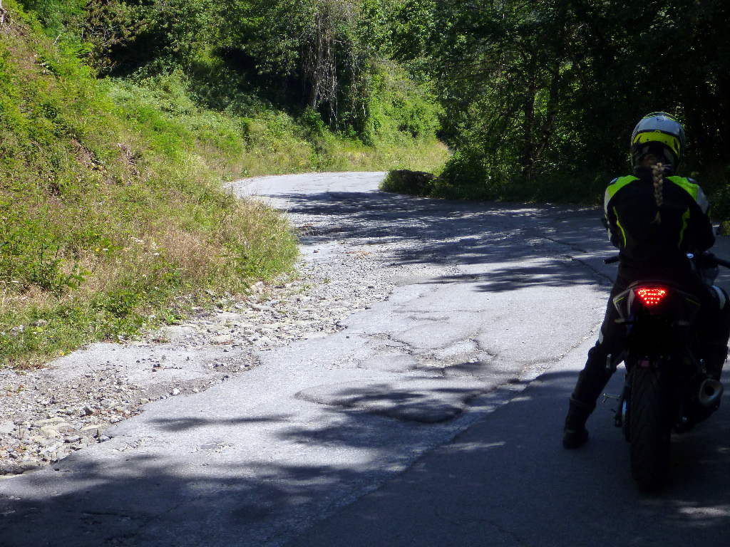 p1050315_bearbeitet-1.jpg