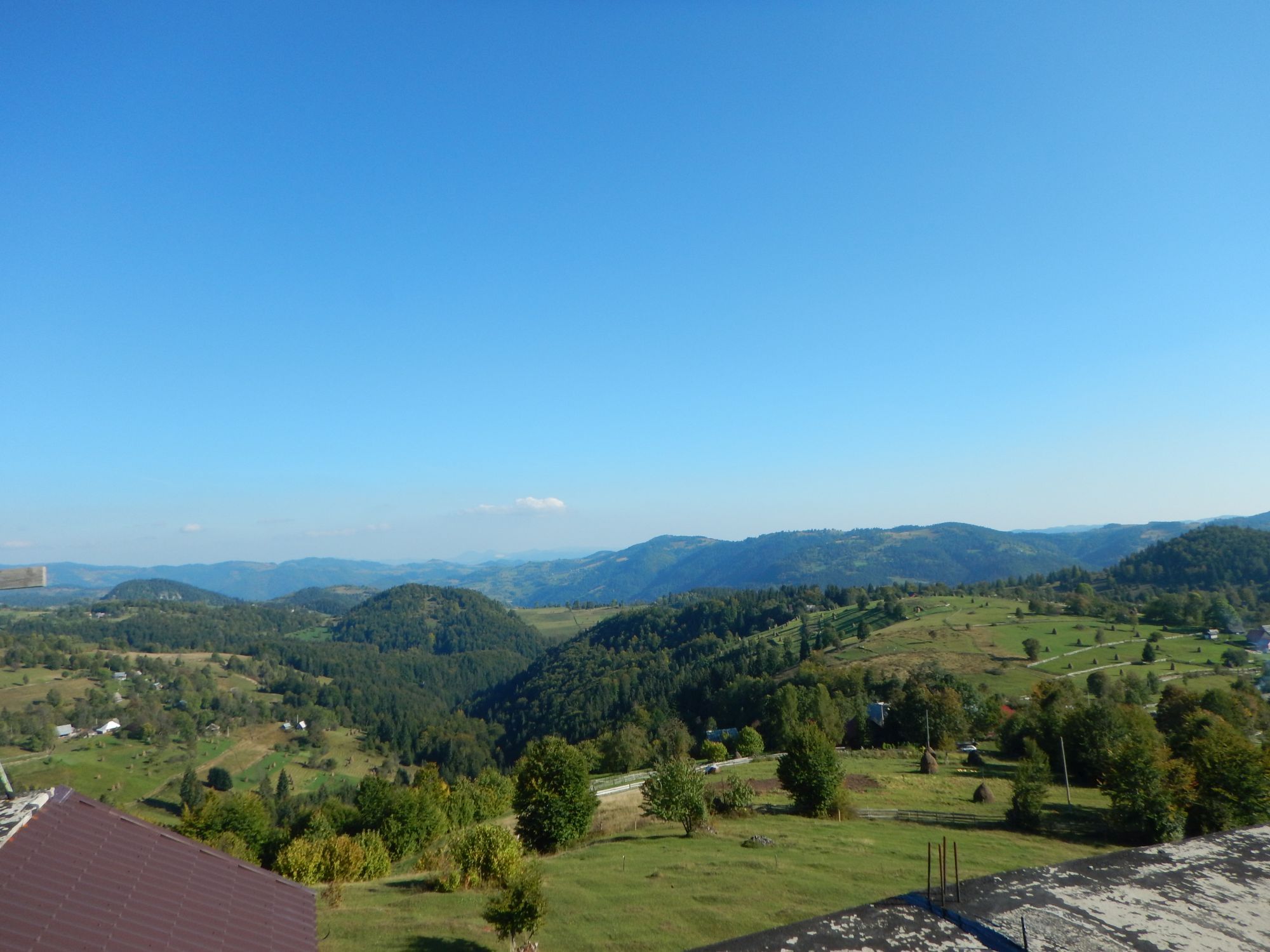 dscn2278.jpg