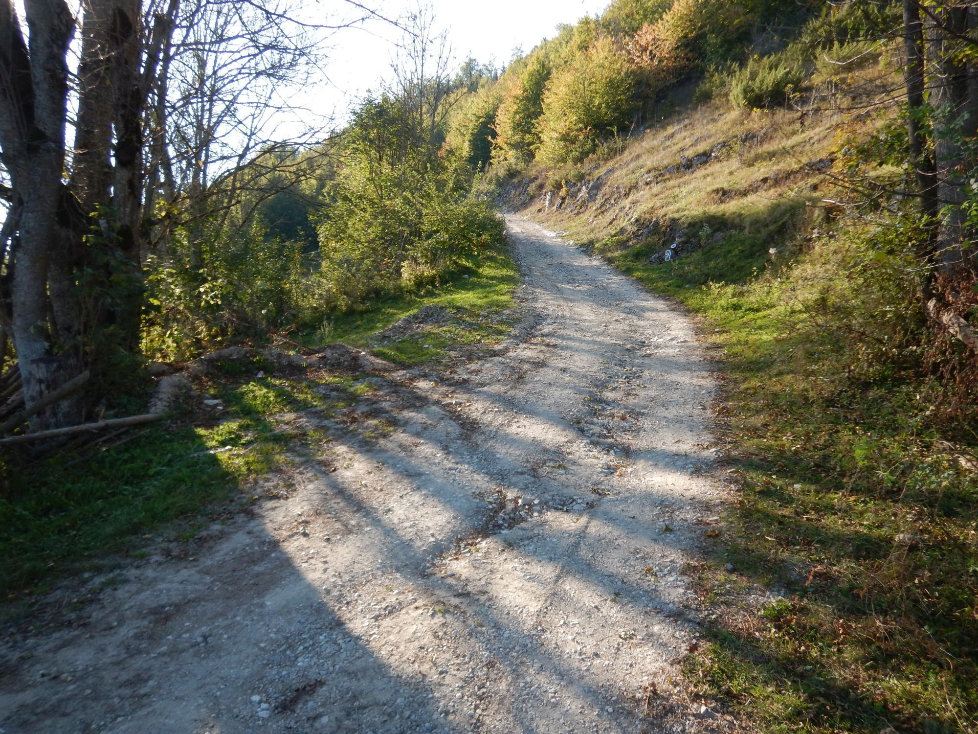 dscn2285.jpg
