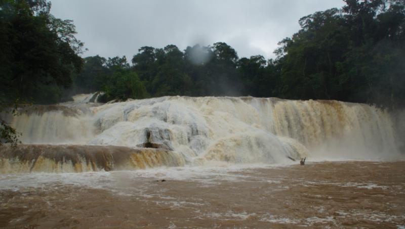 Klicke auf die Grafik für eine größere Ansicht
Name: Chiapas 13 (51).jpg
Hits: 526
Größe: 41,3 KB
ID: 89283