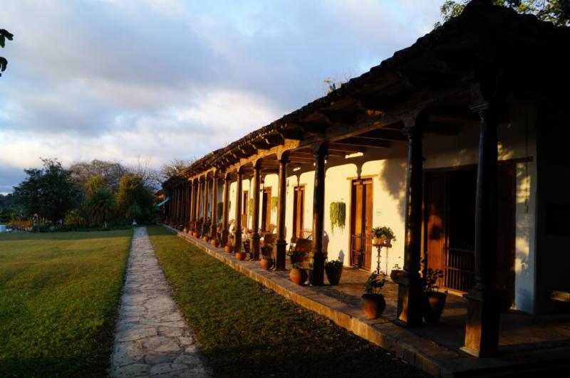 Klicke auf die Grafik für eine größere Ansicht
Name: Chiapas 13 (96).jpg
Hits: 378
Größe: 52,2 KB
ID: 89517