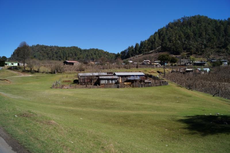 Klicke auf die Grafik für eine größere Ansicht
Name: Chiapas 13 (100).jpg
Hits: 338
Größe: 55,8 KB
ID: 89592
