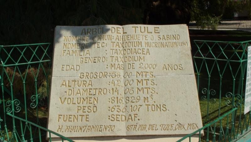 Klicke auf die Grafik für eine größere Ansicht
Name: Chiapas 13 (144).jpg
Hits: 273
Größe: 56,7 KB
ID: 89881