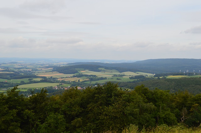 dsc_0083.jpg