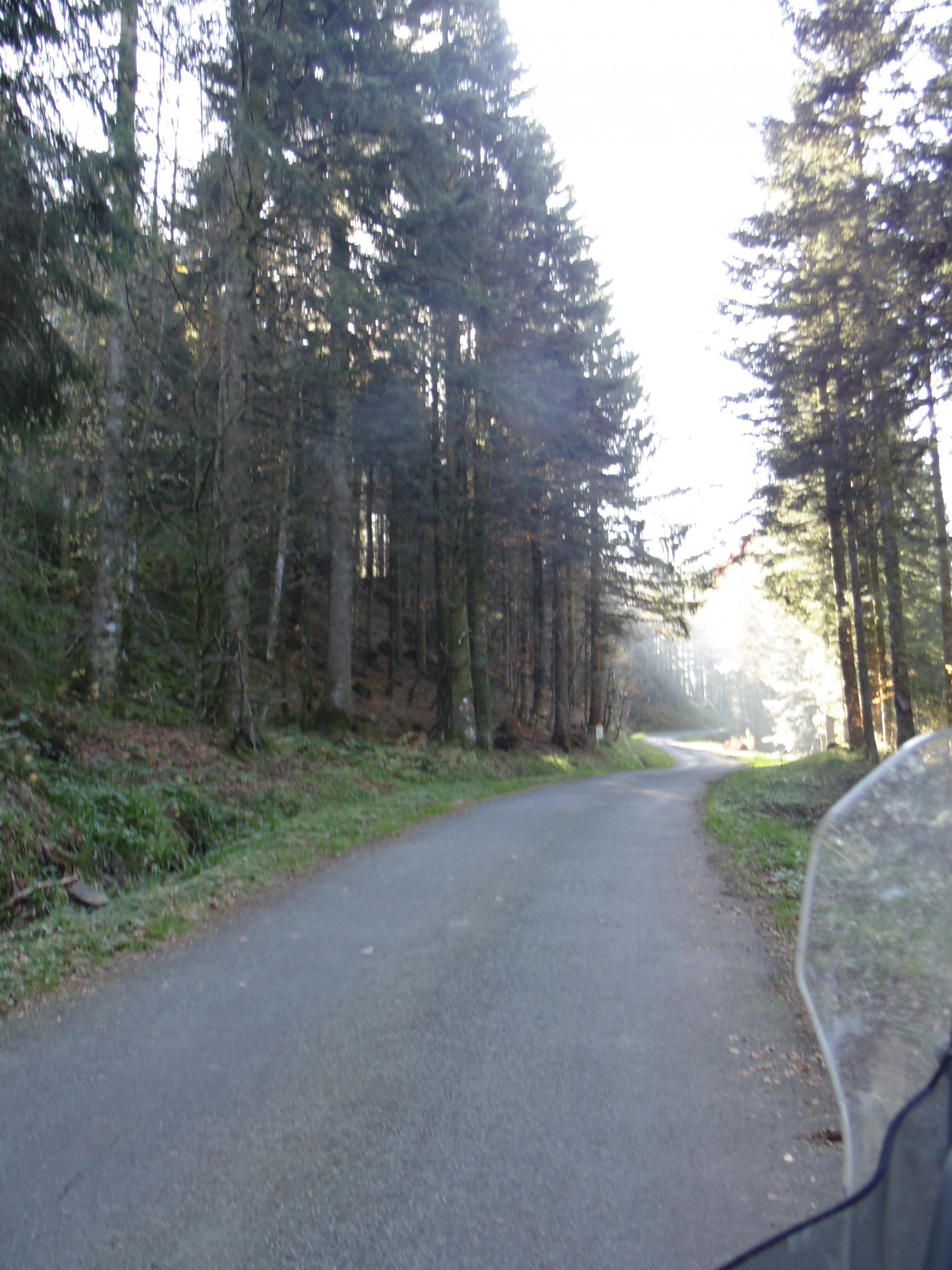 dsc00856.jpg