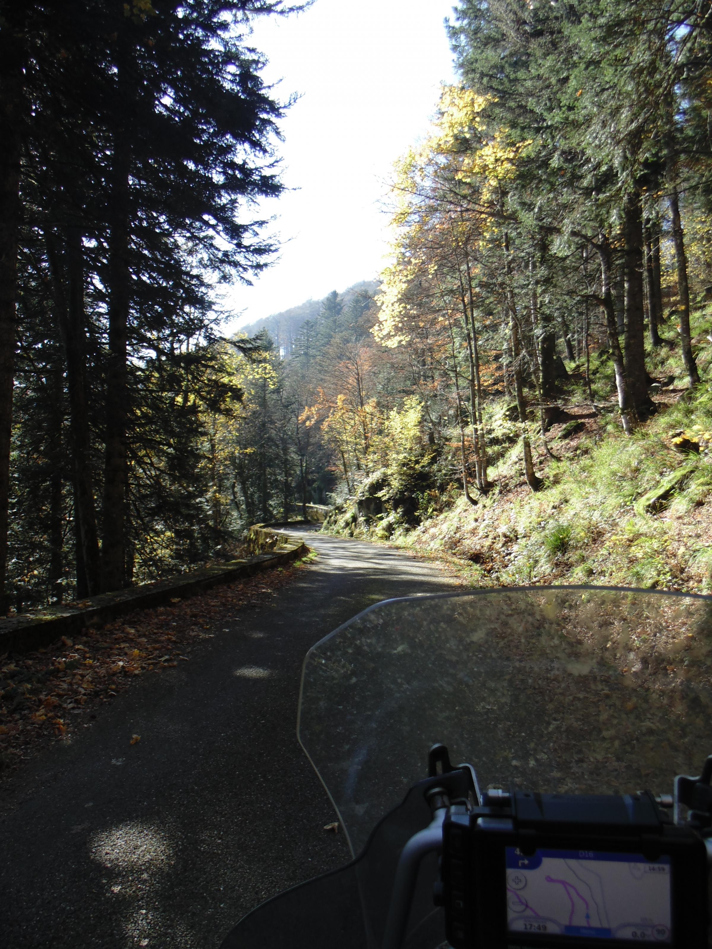 dsc00858.jpg